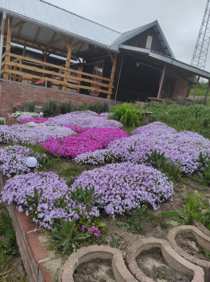 Stadnina Koni Tarka Zwierzyniec Bagian luar foto