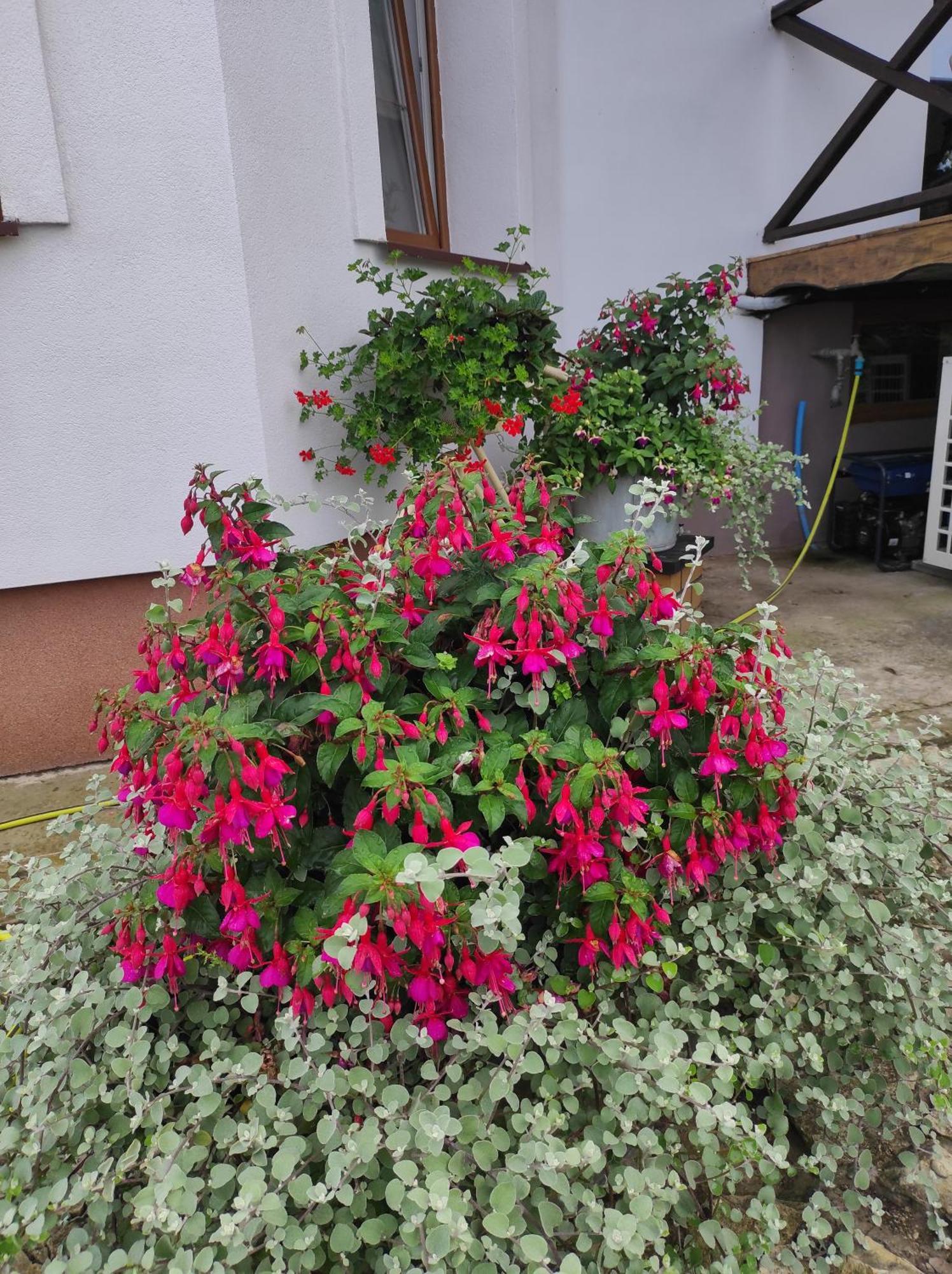 Stadnina Koni Tarka Zwierzyniec Bagian luar foto