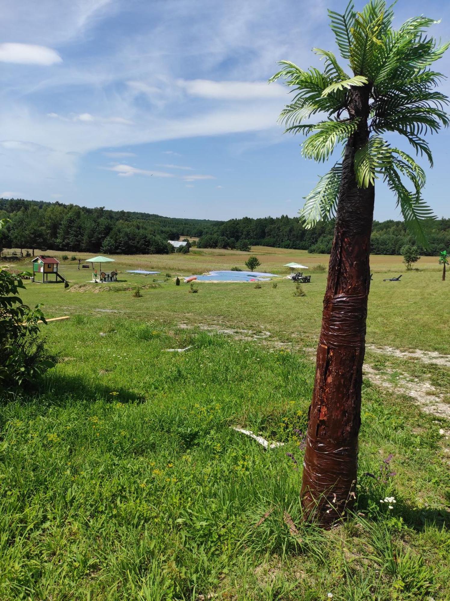 Stadnina Koni Tarka Zwierzyniec Bagian luar foto