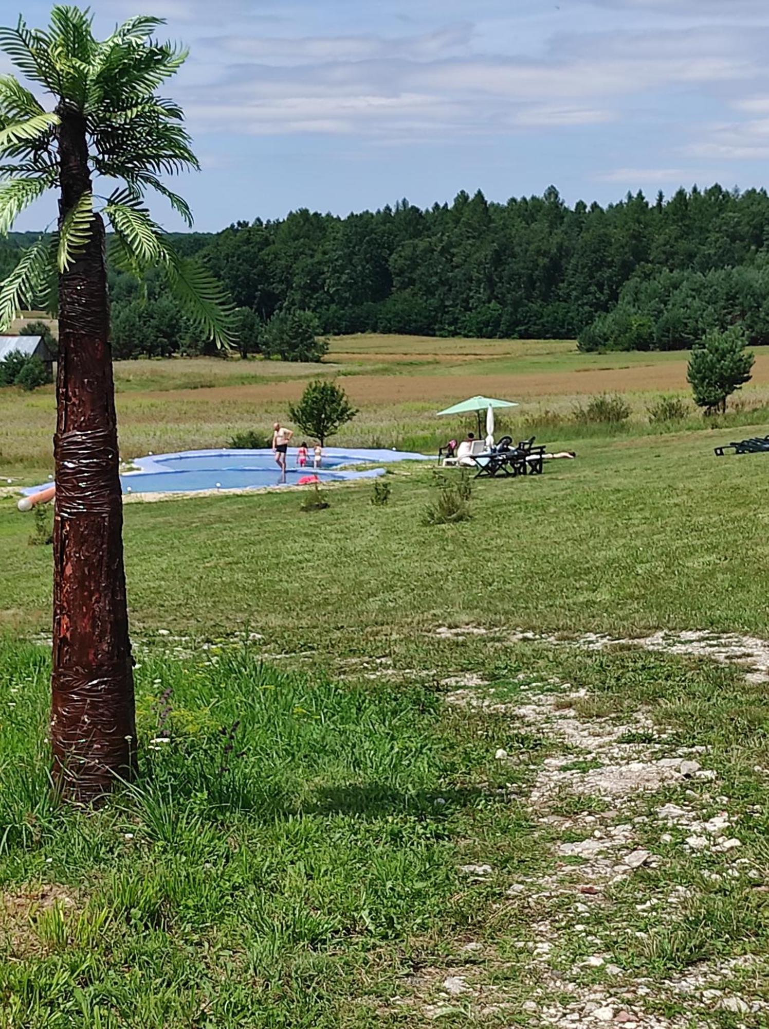 Stadnina Koni Tarka Zwierzyniec Bagian luar foto