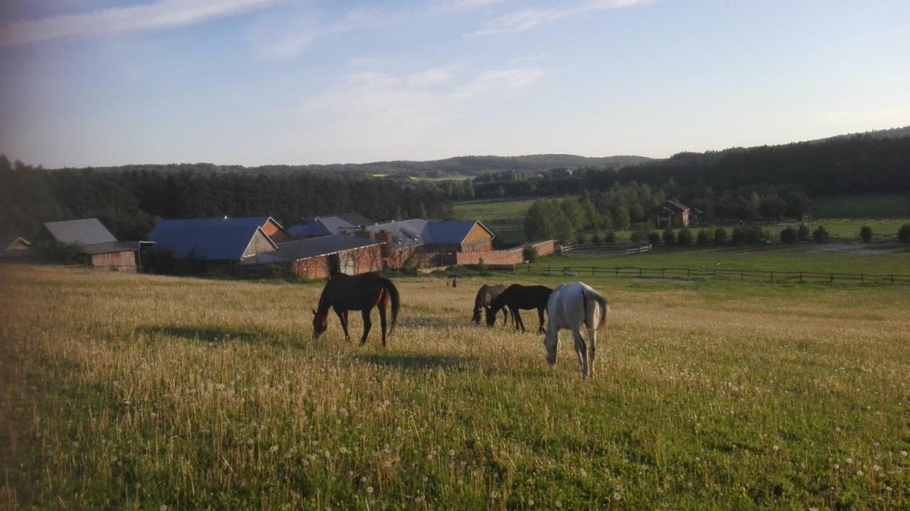 Stadnina Koni Tarka Zwierzyniec Bagian luar foto